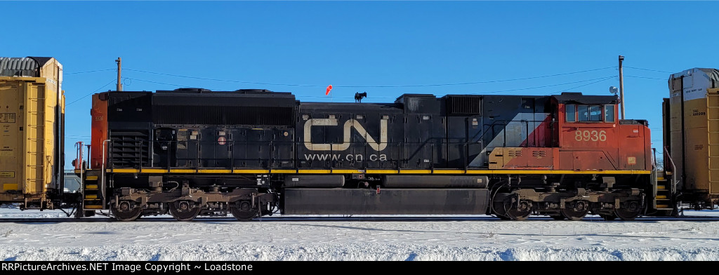 CN 8936